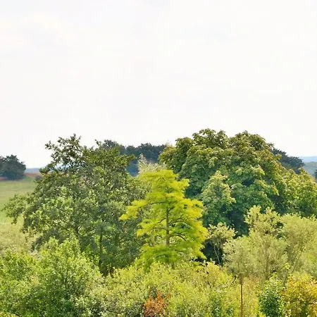 Jagdschloss Zu 7 Hohen Niendorf