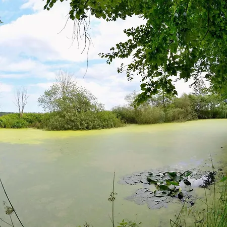 Jagdschloss Zu 7 아파트 *